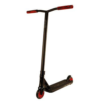 Custom Scooter - Boston's Choice