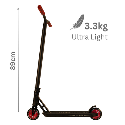 Custom Scooter - Boston's Choice