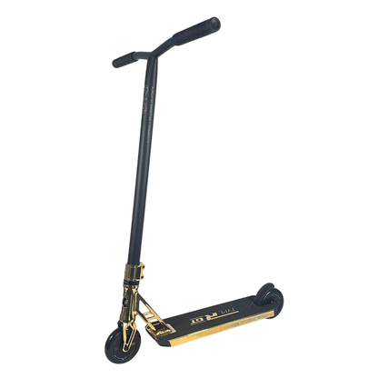 Custom Scooter - Emily's Choice