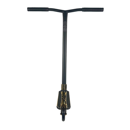 Custom Scooter - Emily's Choice