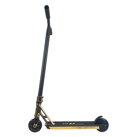 Custom Scooter - Emily's Choice