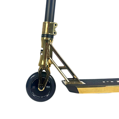 Custom Scooter - Emily's Choice